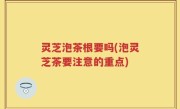 灵芝泡茶根要吗(泡灵芝茶要注意的重点)
