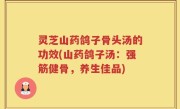 灵芝山药鸽子骨头汤的功效(山药鸽子汤：强筋健骨，养生佳品)