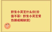 野生小灵芝什么价(价值不菲！野生小灵芝受热捧成稀缺货)