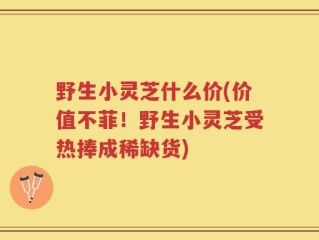 野生小灵芝什么价(价值不菲！野生小灵芝受热捧成稀缺货)