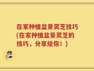 在家种植盆景灵芝技巧(在家种植盆景灵芝的技巧，分享给你！)