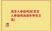 灵芝人参菇鸡汤(灵芝人参菇鸡汤滋补养生之选)