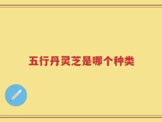 五行丹灵芝是哪个种类