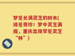 梦见长满灵芝的树木(缘见奇珍！梦中灵芝满庭，重庆出现罕见灵芝“林”)