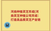 河南种植灵芝苏诺(河南灵芝种植公司苏诺：打造高品质灵芝产业链