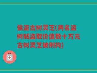 偷盗古树灵芝(两名盗树贼盗取价值数十万元古树灵芝被刑拘)