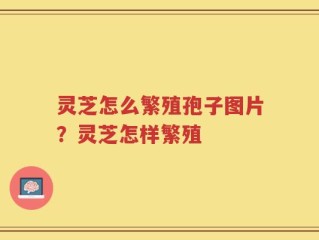 灵芝怎么繁殖孢子图片？灵芝怎样繁殖