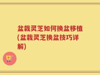 盆栽灵芝如何换盆移植(盆栽灵芝换盆技巧详解)