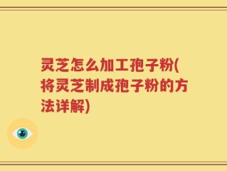灵芝怎么加工孢子粉(将灵芝制成孢子粉的方法详解)