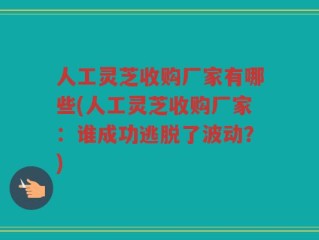 人工灵芝收购厂家有哪些(人工灵芝收购厂家：谁成功逃脱了波动？)