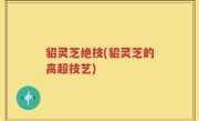 貂灵芝绝技(貂灵芝的高超技艺)