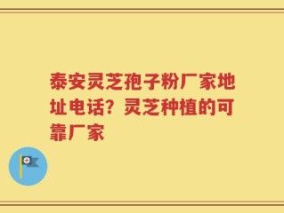 泰安灵芝孢子粉厂家地址电话？灵芝种植的可靠厂家