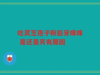 吃灵芝孢子粉后牙痒痒 是还是另有原因