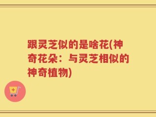 跟灵芝似的是啥花(神奇花朵：与灵芝相似的神奇植物)