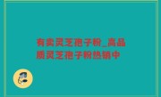 有卖灵芝孢子粉_高品质灵芝孢子粉热销中