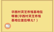 华西村灵芝养殖基地在哪里(华西村灵芝养殖基地位置在哪儿？)