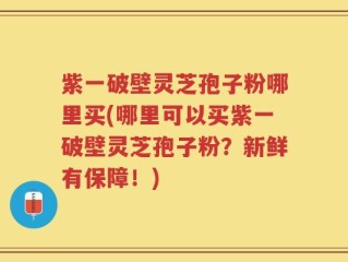 紫一破壁灵芝孢子粉哪里买(哪里可以买紫一破壁灵芝孢子粉？新鲜有保障！)