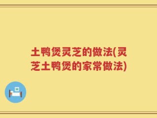 土鸭煲灵芝的做法(灵芝土鸭煲的家常做法)