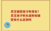 灵芝破壁孢子粉用处？灵芝孢子粉头道粉和破壁有什么区别吗