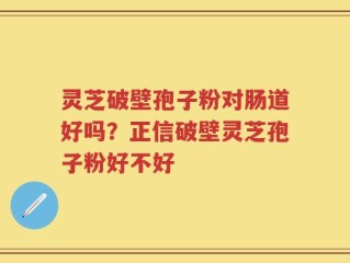 灵芝破壁孢子粉对肠道好吗？正信破壁灵芝孢子粉好不好