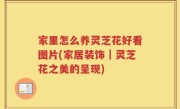 家里怎么养灵芝花好看图片(家居装饰｜灵芝花之美的呈现)