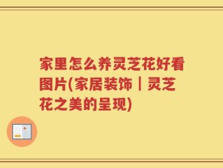 家里怎么养灵芝花好看图片(家居装饰｜灵芝花之美的呈现)