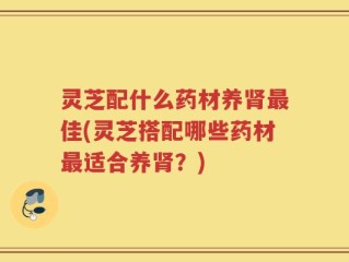 灵芝配什么药材养肾最佳(灵芝搭配哪些药材最适合养肾？)