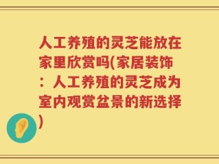 人工养殖的灵芝能放在家里欣赏吗(家居装饰：人工养殖的灵芝成为室内观赏盆景的新选择)