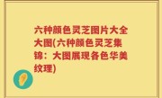 六种颜色灵芝图片大全大图(六种颜色灵芝集锦：大图展现各色华美纹理)