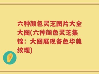 六种颜色灵芝图片大全大图(六种颜色灵芝集锦：大图展现各色华美纹理)