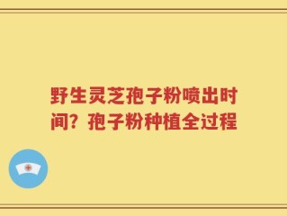 野生灵芝孢子粉喷出时间？孢子粉种植全过程