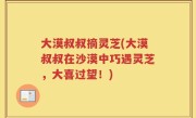 大漠叔叔摘灵芝(大漠叔叔在沙漠中巧遇灵芝，大喜过望！)