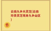 云南九乡大灵芝(云南珍贵灵芝现身九乡山区)