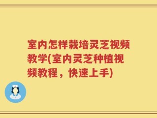 室内怎样栽培灵芝视频教学(室内灵芝种植视频教程，快速上手)