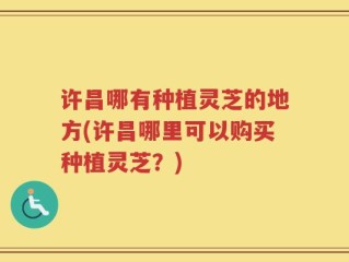 许昌哪有种植灵芝的地方(许昌哪里可以购买种植灵芝？)