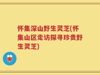 怀集深山野生灵芝(怀集山区走访探寻珍贵野生灵芝)