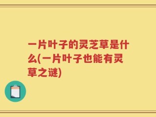 一片叶子的灵芝草是什么(一片叶子也能有灵草之谜)