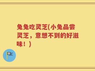 兔兔吃灵芝(小兔品尝灵芝，意想不到的好滋味！)