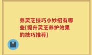 养灵芝技巧小妙招有哪些(提升灵芝养护效果的技巧推荐)