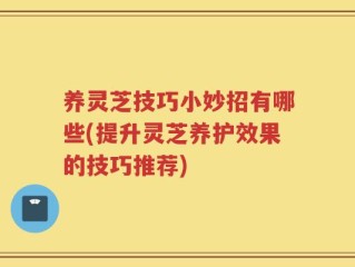 养灵芝技巧小妙招有哪些(提升灵芝养护效果的技巧推荐)