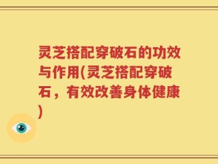 灵芝搭配穿破石的功效与作用(灵芝搭配穿破石，有效改善身体健康)