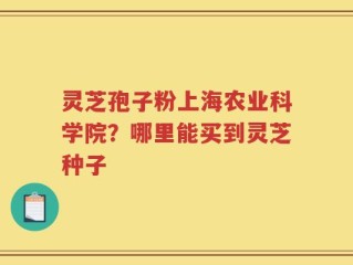 灵芝孢子粉上海农业科学院？哪里能买到灵芝种子