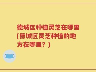 德城区种植灵芝在哪里(德城区灵芝种植的地方在哪里？)
