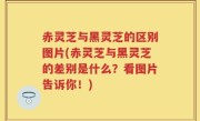 赤灵芝与黑灵芝的区别图片(赤灵芝与黑灵芝的差别是什么？看图片告诉你！)