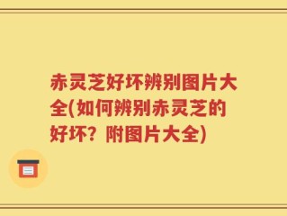赤灵芝好坏辨别图片大全(如何辨别赤灵芝的好坏？附图片大全)