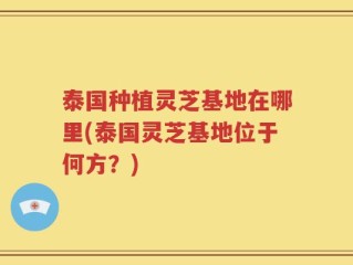 泰国种植灵芝基地在哪里(泰国灵芝基地位于何方？)