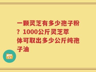一颗灵芝有多少孢子粉？1000公斤灵芝萃体可取出多少公斤纯孢子油