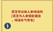 灵芝可以和人参炖汤吗(灵芝与人参搭配最佳，炖汤补气养生)