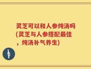 灵芝可以和人参炖汤吗(灵芝与人参搭配最佳，炖汤补气养生)