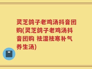 灵芝鸽子老鸡汤抖音团购(灵芝鸽子老鸡汤抖音团购 祛湿祛寒补气养生汤)